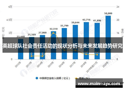 英超球队社会责任活动的现状分析与未来发展趋势研究