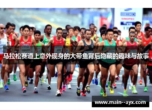 马拉松赛道上意外现身的大带鱼背后隐藏的趣味与故事