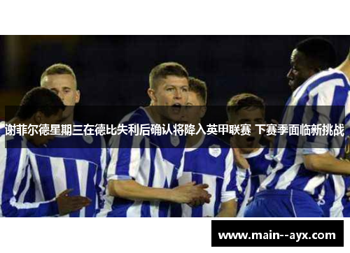 谢菲尔德星期三在德比失利后确认将降入英甲联赛 下赛季面临新挑战