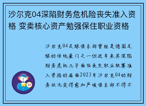 沙尔克04深陷财务危机险丧失准入资格 变卖核心资产勉强保住职业资格 沙尔克04深陷财务危机险丧失准入资格 变卖核心资产勉强保住职业资格